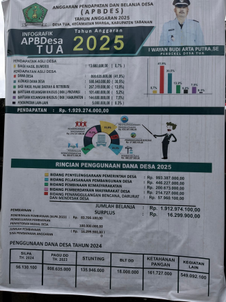  INFO GRAFIS APBDES DESA TUA 2025